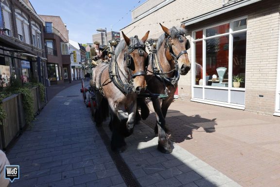 Twee paarden trekken een koets door een smalle straat met huizen en winkels.